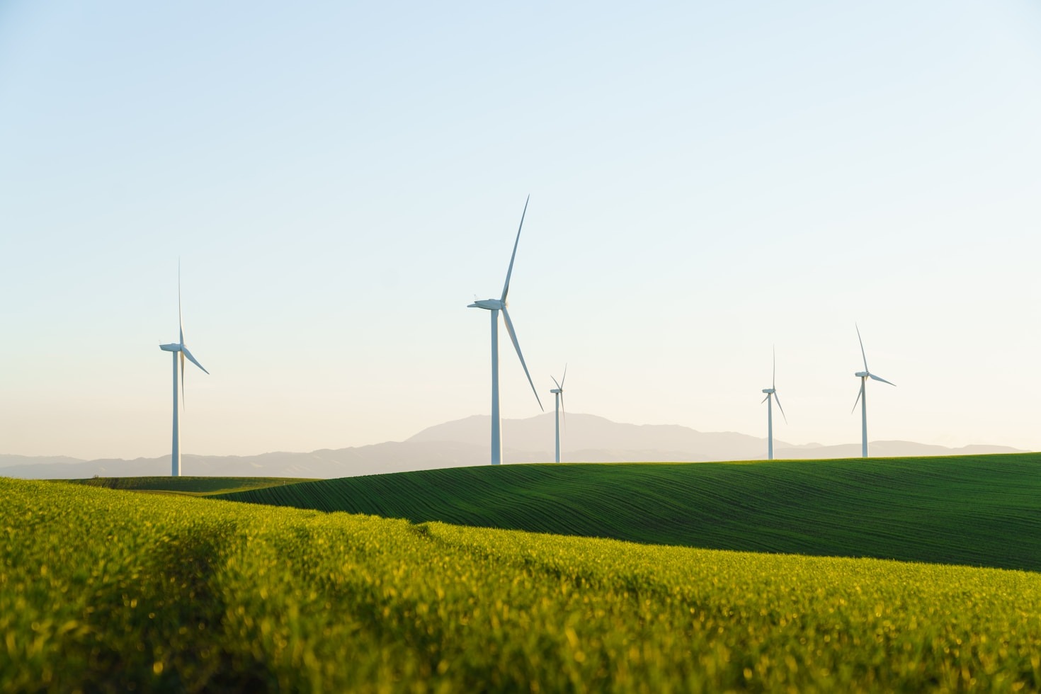 Estrategias para un manejo eficiente de la energía